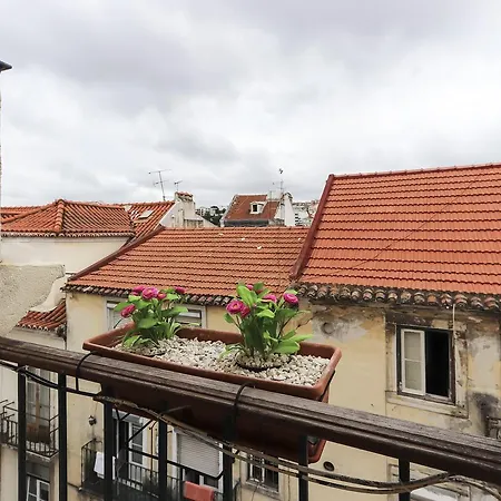 Sao Bento Typical By Homing Lisbon